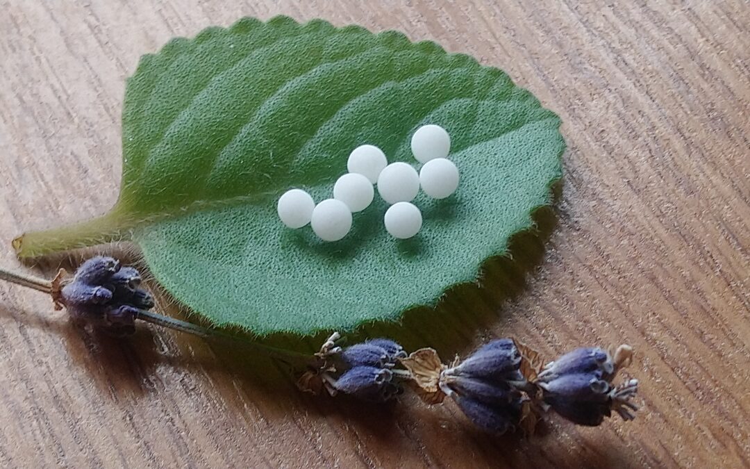 Homeopatie – přirozená cesta ke zdraví